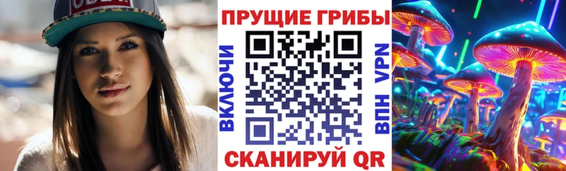 darknet Telegram  Муравленко  Галлюциногенные грибы Psilocybe 